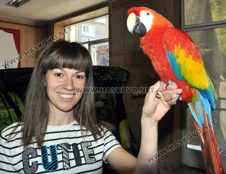 В Хасково показват най-скъпия и най-едър папагал в света