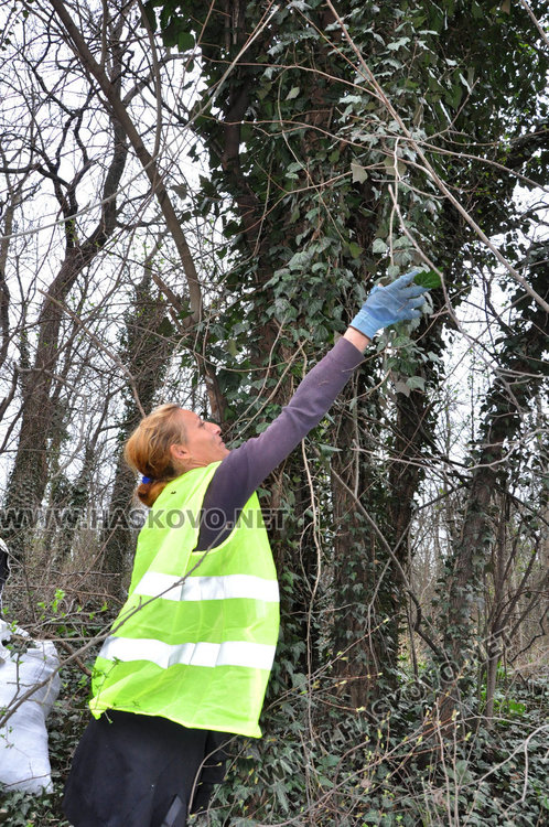 Билкари от Стара Загора чистят  Ямача от бръшляна