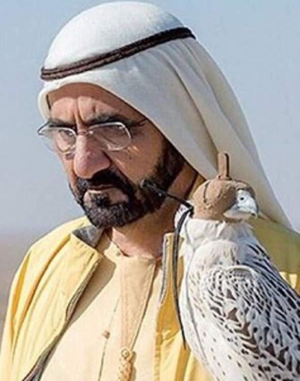 Принцове и принцеси-Дубай