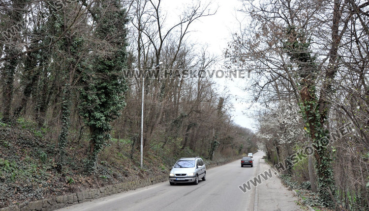 Билкари от Стара Загора чистят  Ямача от бръшляна