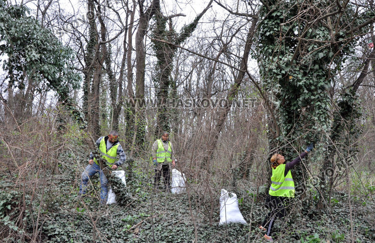 Билкари от Стара Загора чистят  Ямача от бръшляна