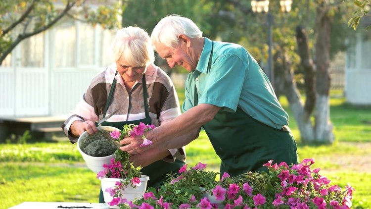 Къде е пенсионният рай? Заплахи за пенсионираните по света