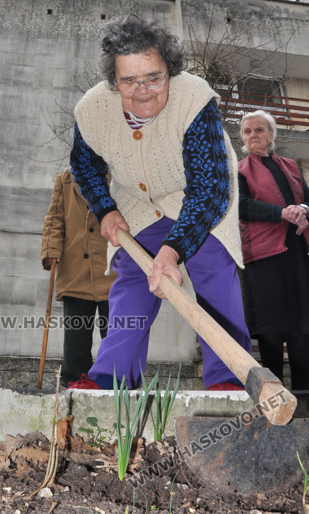 91-годишна копае градинка, засадиха "дървото на живота" в Старческия дом