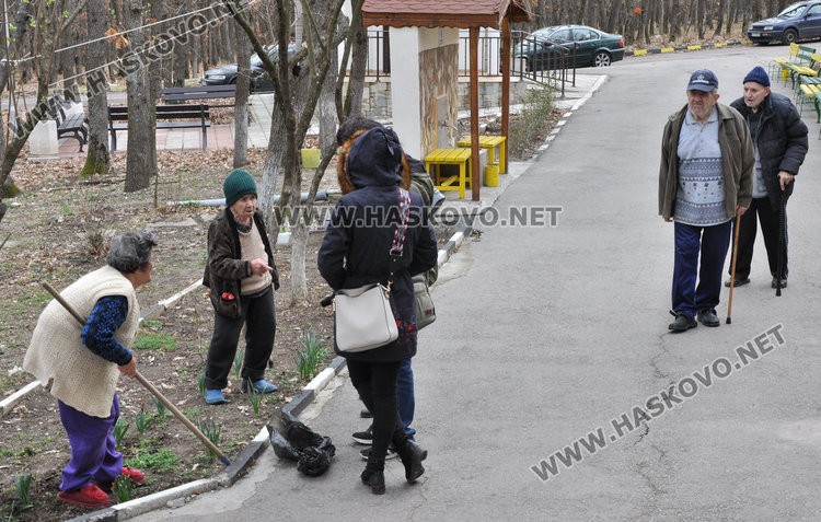 91-годишна копае градинка, засадиха "дървото на живота" в Старческия дом