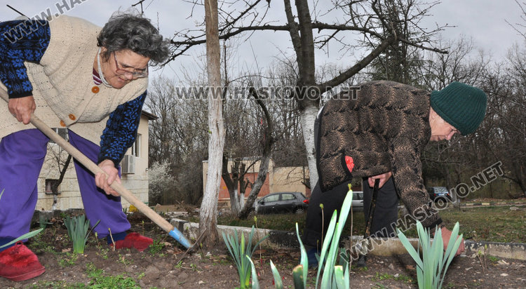 91-годишна копае градинка, засадиха "дървото на живота" в Старческия дом