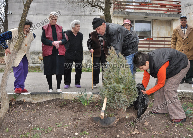 91-годишна копае градинка, засадиха "дървото на живота" в Старческия дом
