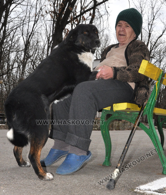 91-годишна копае градинка, засадиха "дървото на живота" в Старческия дом