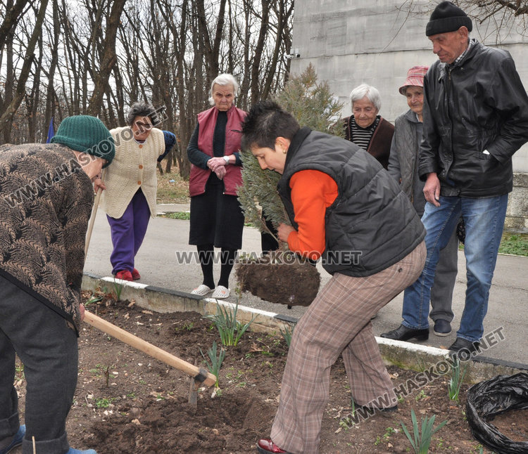 91-годишна копае градинка, засадиха "дървото на живота" в Старческия дом