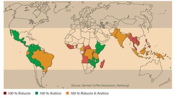 Любопитни факти за кафето, които може да сте пропуснали
