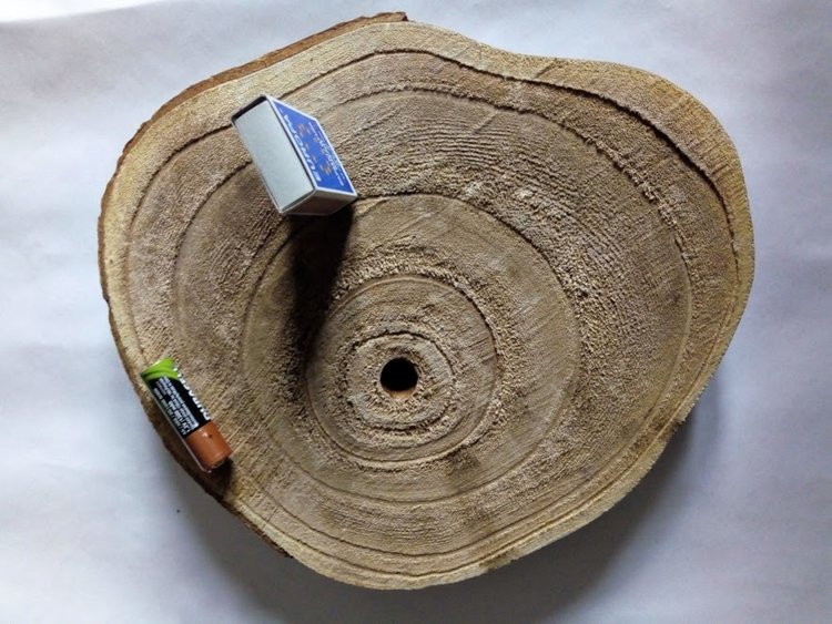 Пауловния на 5 години