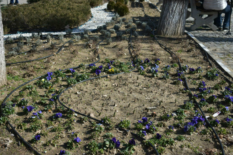 Започват пролетните дейности по градската среда, пръскат за кърлежи към края на март