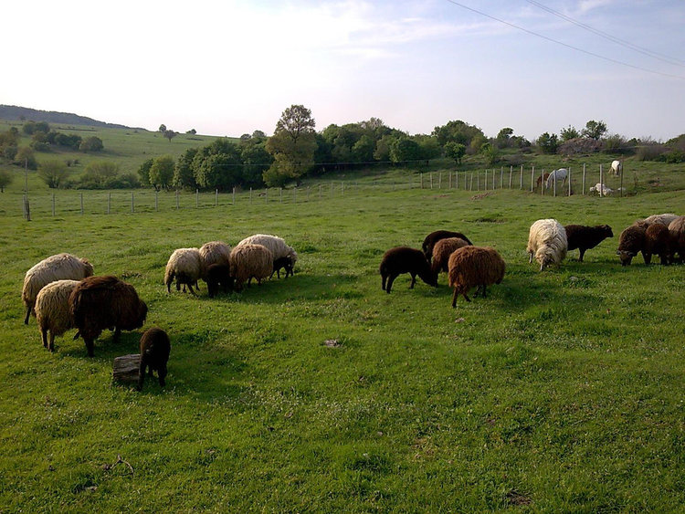 От Фонд „Земеделие” тръгват на информационен тур из Смолянско