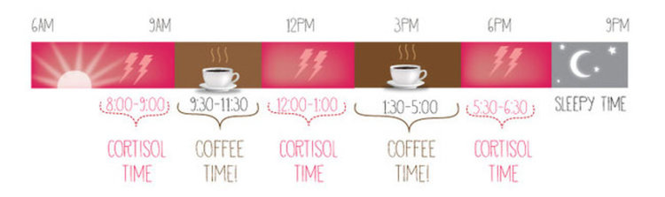 Любопитни факти за кафето, които може да сте пропуснали
