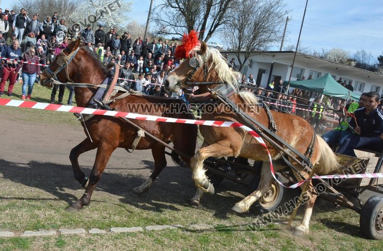 Филмова звезда е най-красивият кон на Тодоровата кушия