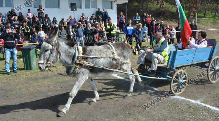 Филмова звезда е най-красивият кон на Тодоровата кушия