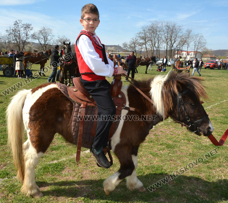 Филмова звезда е най-красивият кон на Тодоровата кушия