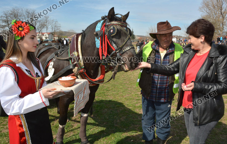 Филмова звезда е най-красивият кон на Тодоровата кушия