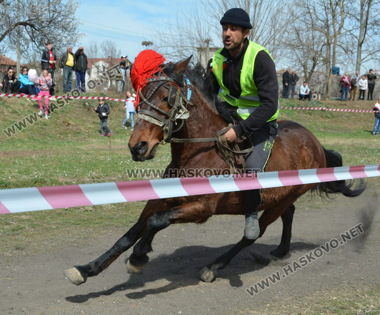 Филмова звезда е най-красивият кон на Тодоровата кушия