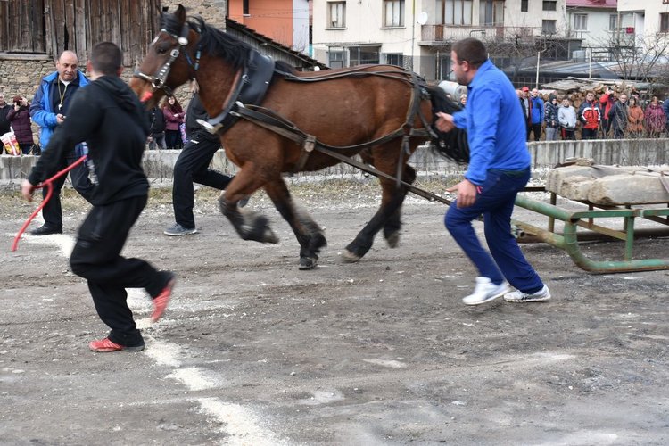 Коне и хора почетоха в Чепеларе на Тодоровден