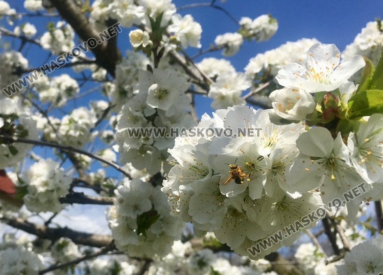 Топъл съботен ден ни очаква днес