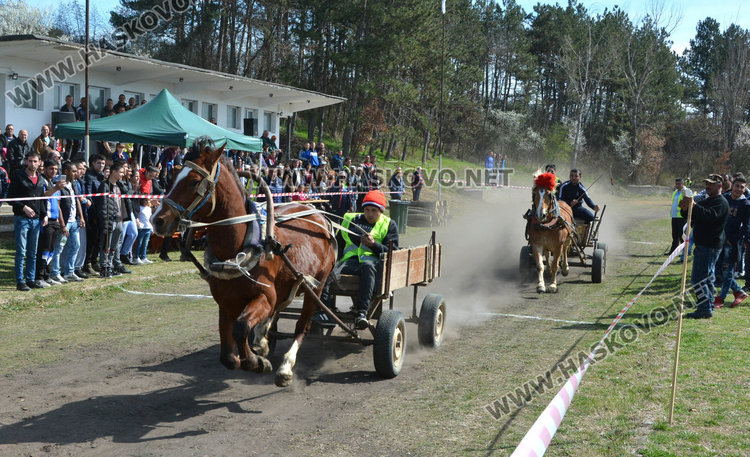 Филмова звезда е най-красивият кон на Тодоровата кушия
