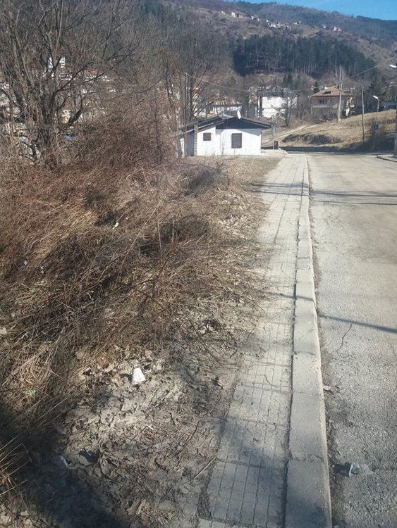 Храсти и бурени затрупват тротоарите към квартал Петровица