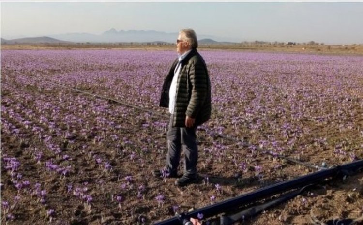 България ще изнесе 640 тона шафранови луковици в Китай за 6,5 млн.евро