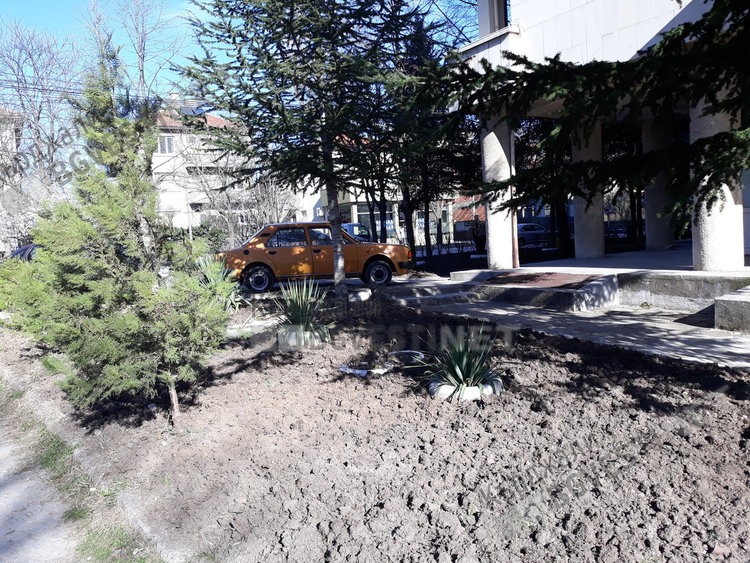 Междублоковите пространства зад Поликлиниката посрещнаха Първа пролет с окопани градинки