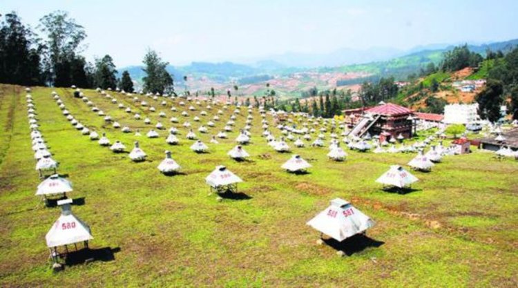 GRAPES-3 - матрица от 13х13 детектора на мюони. 