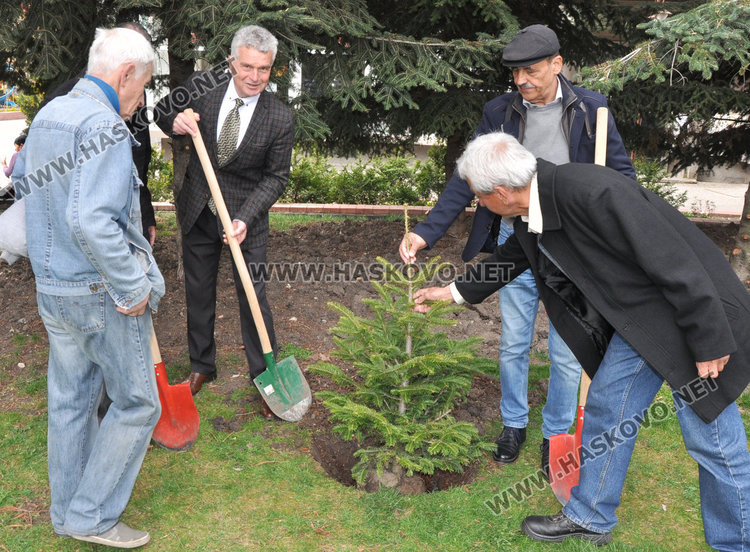 Тракийци засадиха ела до паметника на капитан Петко в Денят на Тракия