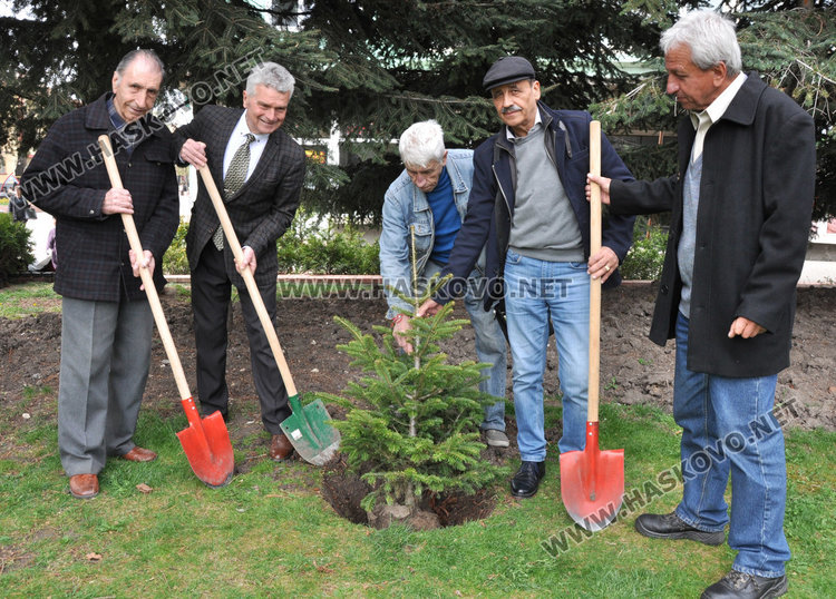 Тракийци засадиха ела до паметника на капитан Петко в Денят на Тракия