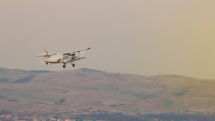 Ваксинират по въздух дивите животни срещу бяс, Кърджали сред областите