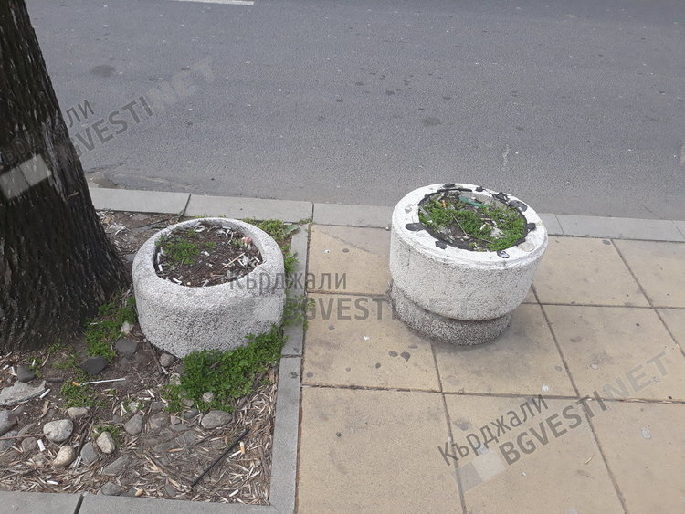 Вандали трошат кошчета за смет след дискотека в Кърджали, няма кой да ги накаже