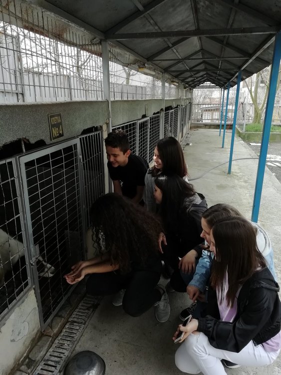 Учениците от ОУ"Св.св.Кирил и Методий" дариха 100 кг.храна на приюта "Дай лапа"