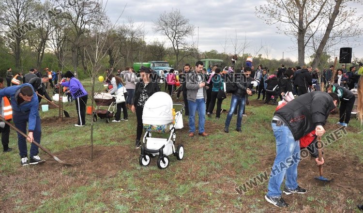 За девета поредна година родители ще садят дръвчета в “Алеята на новия живот”