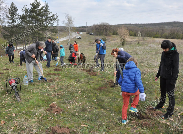 Доброволци засадиха 200 акации в Хасковско