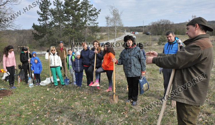 Доброволци засадиха 200 акации в Хасковско