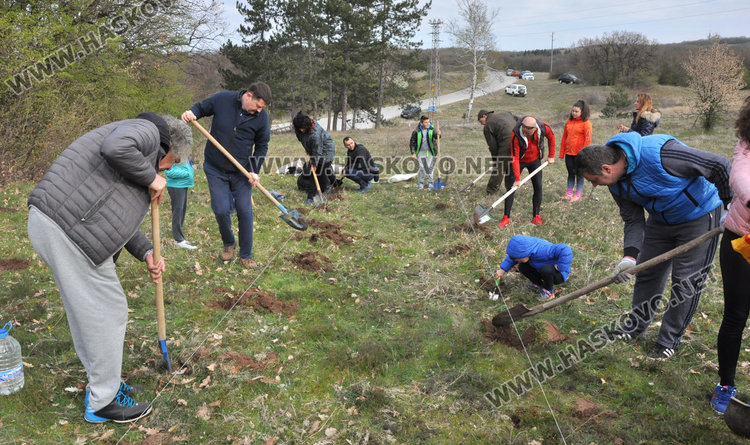 Доброволци засадиха 200 акации в Хасковско