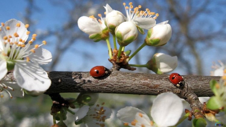 Топло начало на април