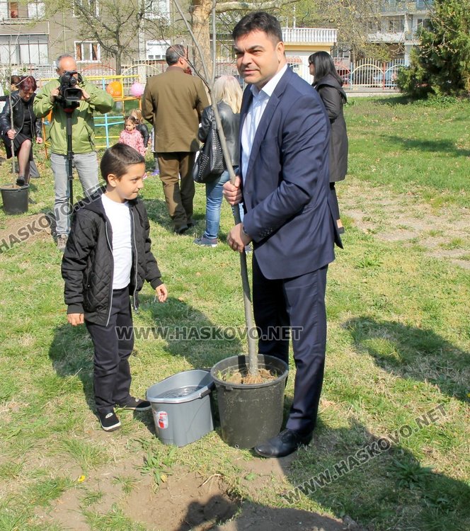 Кметът Иво Димов и децата от ДГ "8-ми март" засадиха дръвчета в двора на градината