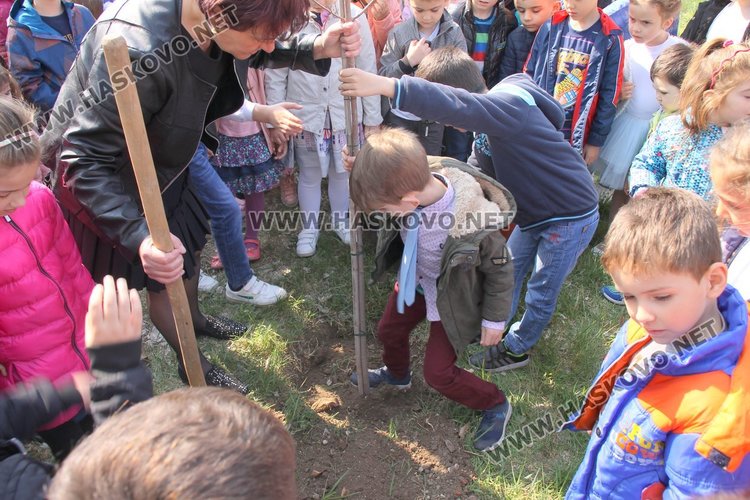 Кметът Иво Димов и децата от ДГ "8-ми март" засадиха дръвчета в двора на градината