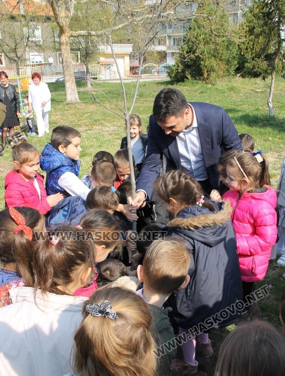 Кметът Иво Димов и децата от ДГ "8-ми март" засадиха дръвчета в двора на градината