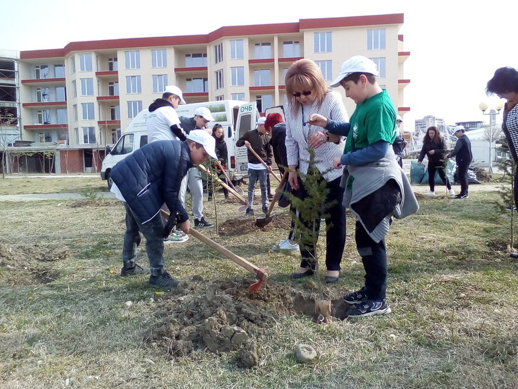 Обогатиха зеленото богатство на парк „Арпезос – Север” с над десет дръвчета