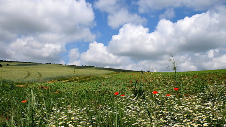 Облачен четвъртък