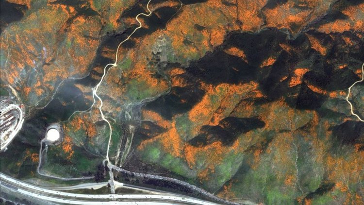 Сателитите DigitalGlobe успяха да заснемат супер цъфтежа в каньона Уокър в Калифорния на 19 март 2019 г.
