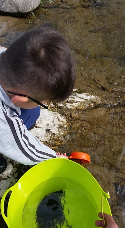 Смолянски рибари събраха средства за 20 хиляди пъстърви, призовават колегите да се включат в акцията