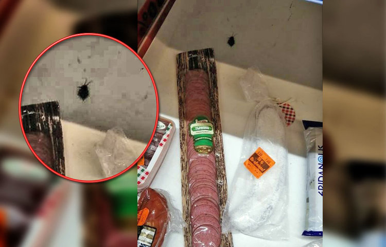 Хасковлия засне умряла хлебарка до колбасите в хипермаркет