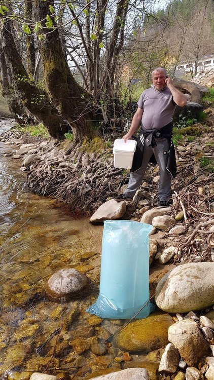 Смолянски рибари събраха средства за 20 хиляди пъстърви, призовават колегите да се включат в акцията