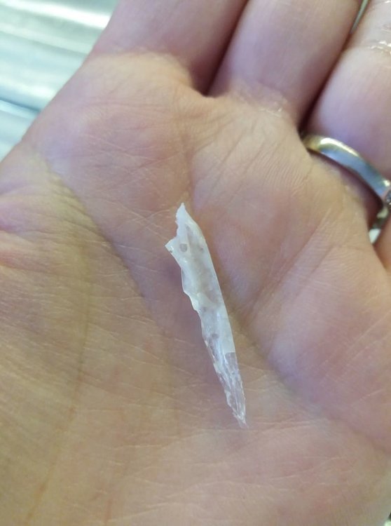 Парчето найлон, открито от майката в десертното кремче