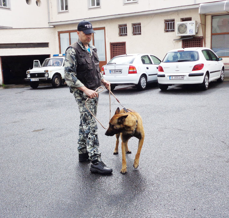 Ученици от ЕГ „Христо Ботев“ се запознаха с работата на полицейските служители и наблюдаваха демонстрации на действия при кризисни ситуации
